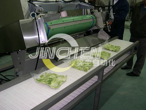 雙層塑鋼(模塊)網(wǎng)帶輸送機(jī)